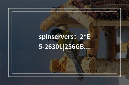 spinservers:2*E5-2630L|256GB内存服务器(服务器内存2933和2666区别)