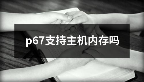 p67支持主机内存吗