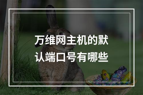万维网主机的默认端口号有哪些
