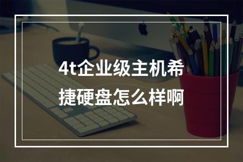 4t企业级主机希捷硬盘怎么样啊