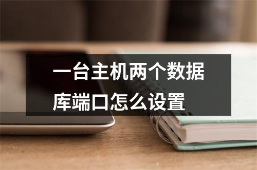 一台主机两个数据库端口怎么设置