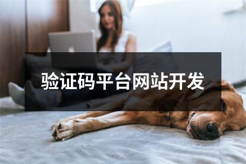 验证码平台网站开发