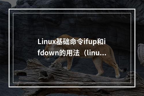 Linux基础命令ifup和ifdown的用法(linux ifdown命令)