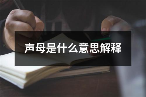 声母是什么意思解释