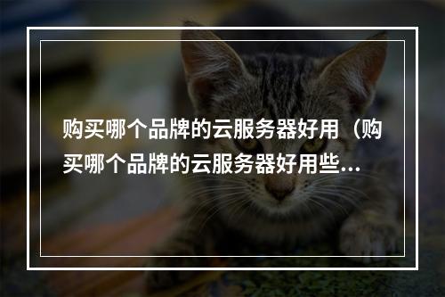 购买哪个品牌的云服务器好用(购买哪个品牌的云服务器好用些)