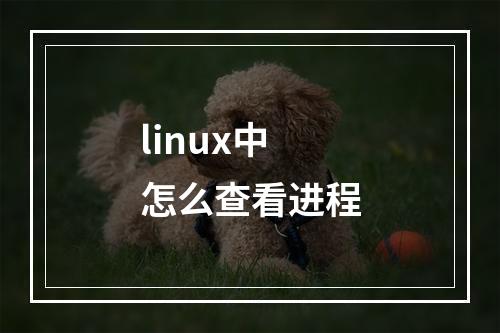 linux中怎么查看进程