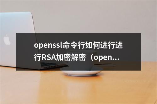 openssl命令行如何进行进行RSA加密解密(openssl 加密)