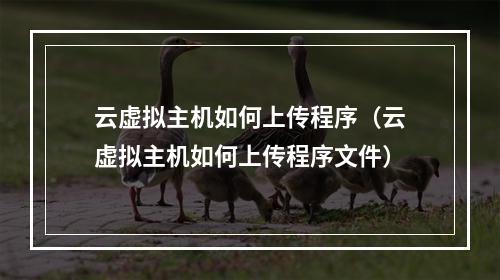 云虚拟主机如何上传程序(云虚拟主机如何上传程序文件)