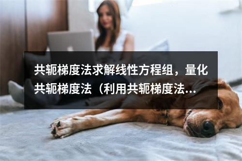 共轭梯度法求解线性方程组,量化共轭梯度法(利用共轭梯度法求解线性方程组)
