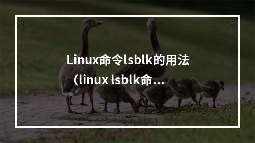 Linux命令lsblk的用法(linux lsblk命令)