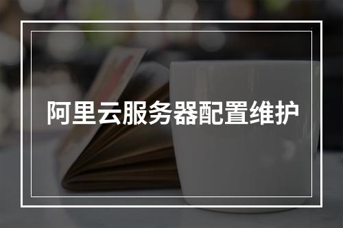 阿里云服务器配置维护