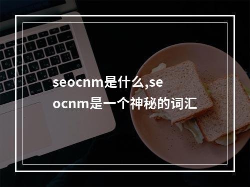seocnm是什么,seocnm是一个神秘的词汇