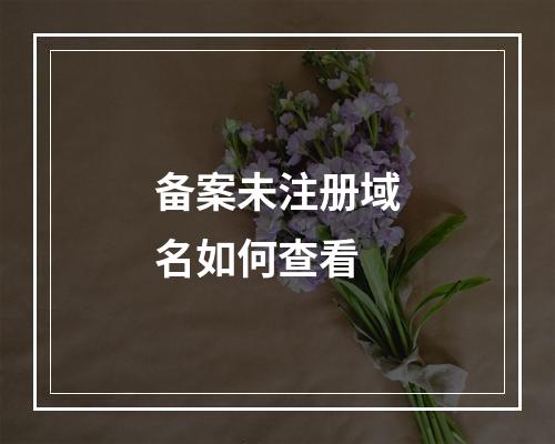 备案未注册域名如何查看