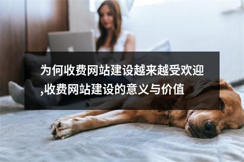 为何收费网站建设越来越受欢迎,收费网站建设的意义与价值
