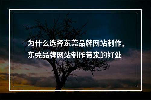 为什么选择东莞品牌网站制作,东莞品牌网站制作带来的好处