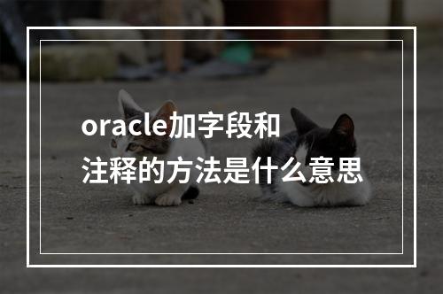 oracle加字段和注释的方法是什么意思