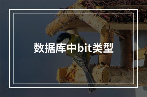 数据库中bit类型
