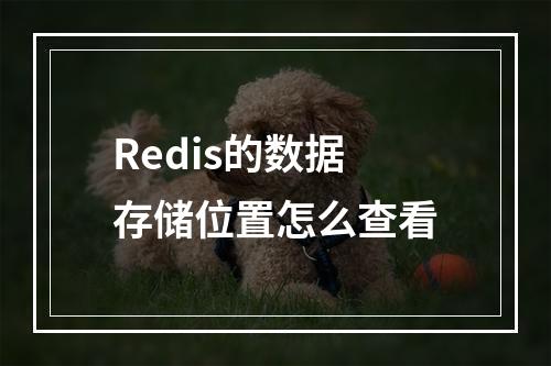 Redis的数据存储位置怎么查看