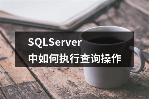 SQLServer中如何执行查询操作
