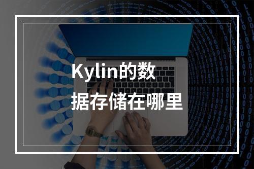 Kylin的数据存储在哪里