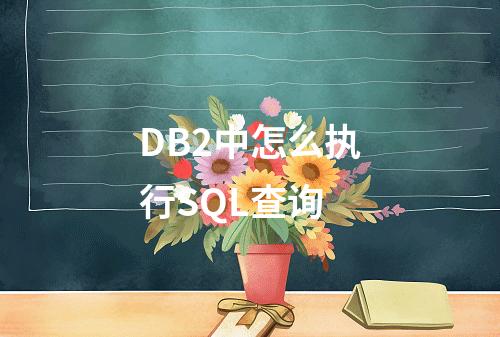 DB2中怎么执行SQL查询