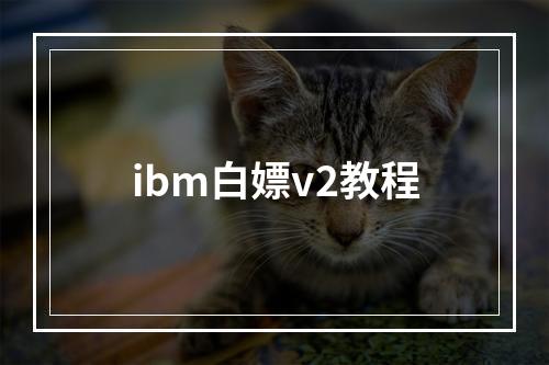 ibm白嫖v2教程