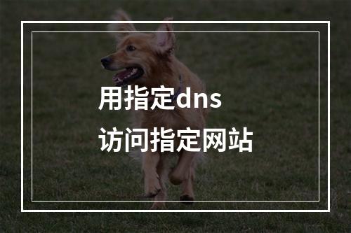 用指定dns访问指定网站