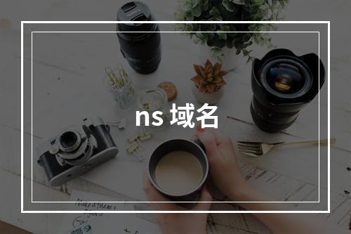 ns 域名