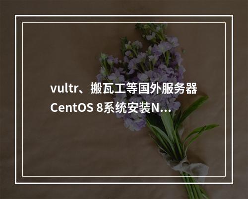vultr、搬瓦工等国外服务器CentOS 8系统安装Nextcloud教程