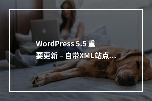 WordPress 5.5 重要更新 – 自带XML站点地图,图片延迟加载,自动更新主题插件