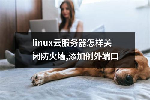 linux云服务器怎样关闭防火墙,添加例外端口
