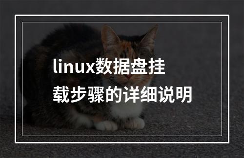 linux数据盘挂载步骤的详细说明