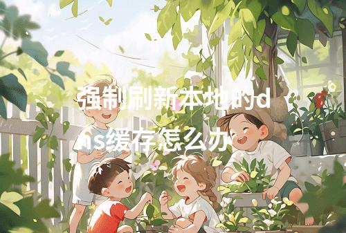 强制刷新本地的dns缓存怎么办