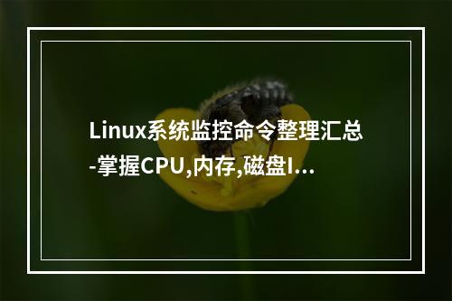 Linux系统监控命令整理汇总-掌握CPU,内存,磁盘IO等找出性能瓶颈