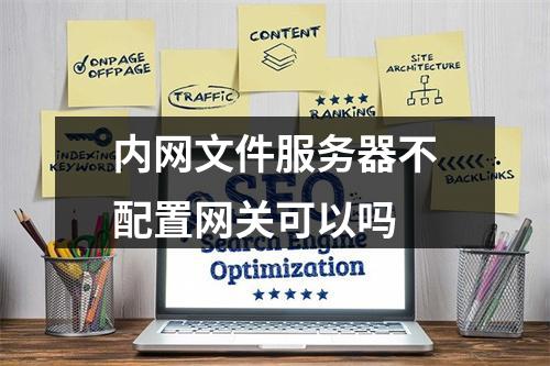 内网文件服务器不配置网关可以吗