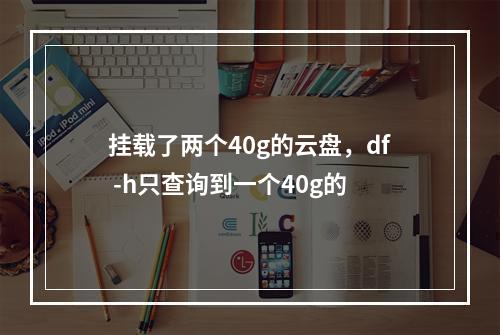 挂载了两个40g的云盘,df -h只查询到一个40g的