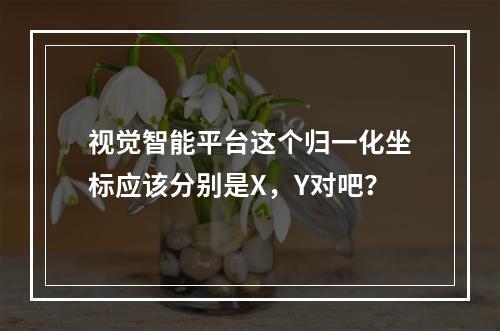 视觉智能平台这个归一化坐标应该分别是X,Y对吧?