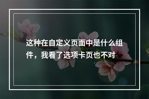 这种在自定义页面中是什么组件,我看了选项卡页也不对