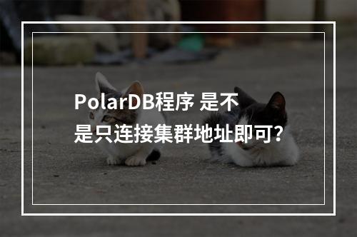 PolarDB程序 是不是只连接集群地址即可?