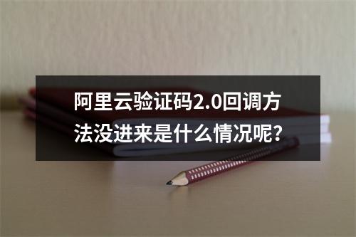 阿里云验证码2.0回调方法没进来是什么情况呢?