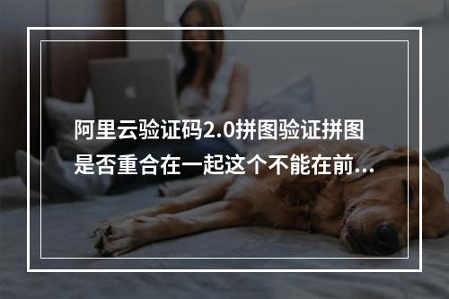 阿里云验证码2.0拼图验证拼图是否重合在一起这个不能在前端就进行校验吗?