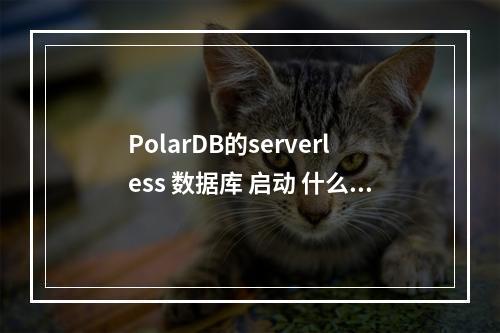 PolarDB的serverless 数据库 启动 什么时候能加入移动端?
