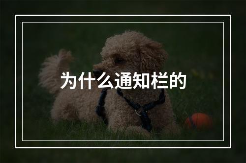 为什么通知栏的