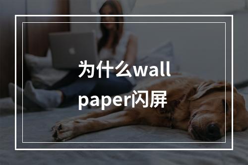 为什么wallpaper闪屏