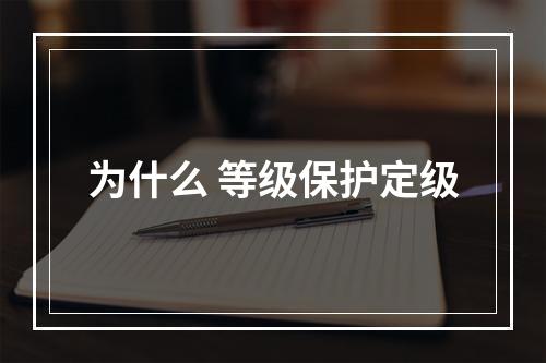 为什么 等级保护定级