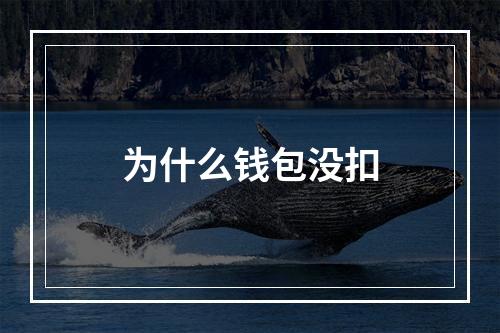 为什么钱包没扣