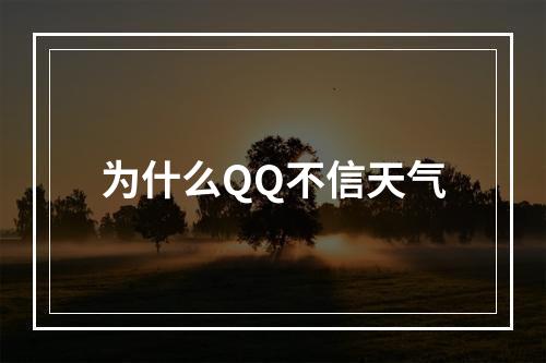 为什么QQ不信天气