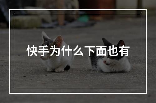 快手为什么下面也有