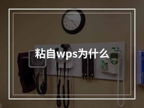粘自wps为什么