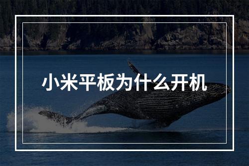 小米平板为什么开机